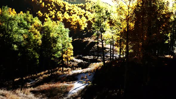 Sunset with Orange Clouds on the Sky and the Rays of the Sun alt