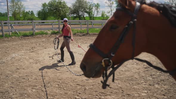 Female Instructor Lunge Training A Dark Bay Horse Holding Its Lead Rope alt