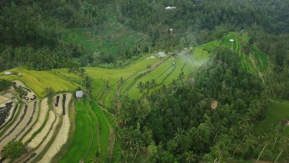 Aerial Video Above Rice Terraces