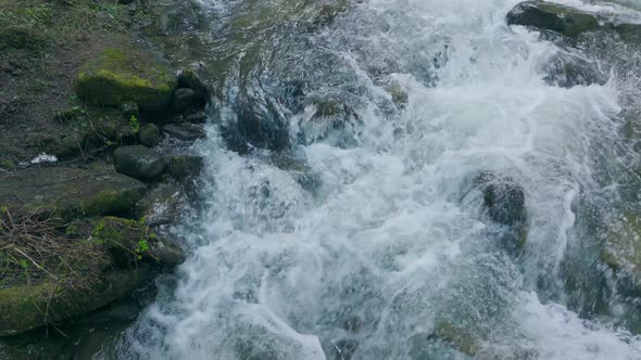 River Forest Water Nature Sun Snow Grass Green Wood Tree Magic Ice Clean alt