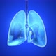 Anatomical animation of breathing Lungs - VideoHive Item for Sale