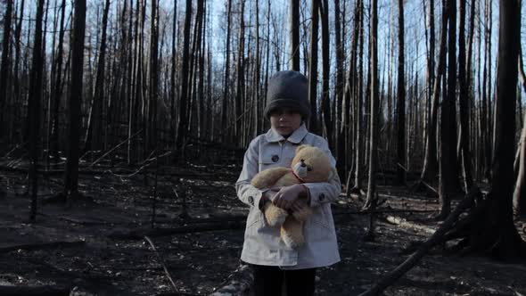 Little girl with teddy bear in burnt forest