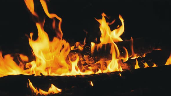 Bonfire Burning at Night in Slow Motion. Flames of Campfire at Nature. alt