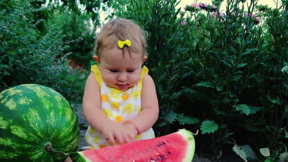 Child Girl Eats Watermelon in Summer alt