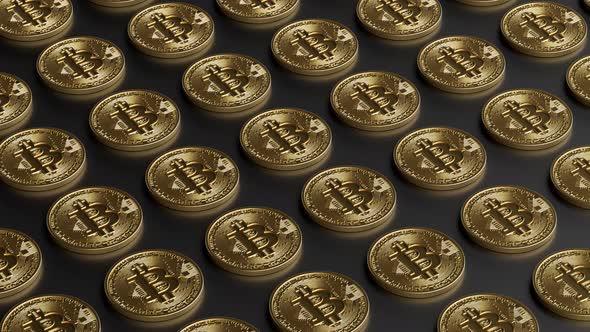 Bitcoin Cryptocurrency Coins