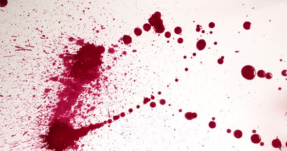 Splashes Of Red Blood On A White Canvas alt