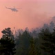 Fire Helicopter On Its Work - VideoHive Item for Sale