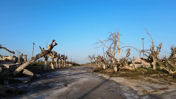 Road through Epecuen historic flooded town Buenos Aires alt