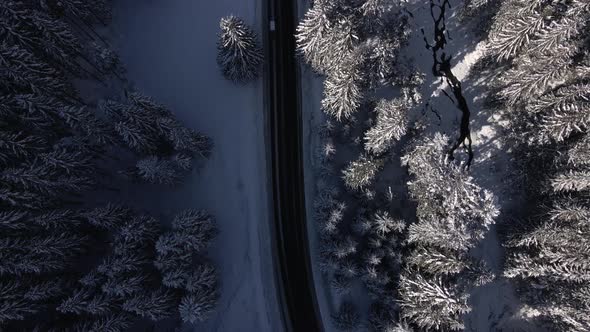 Cinematic Top Down View of the Road Among Forest and River in Sunny Winter Day