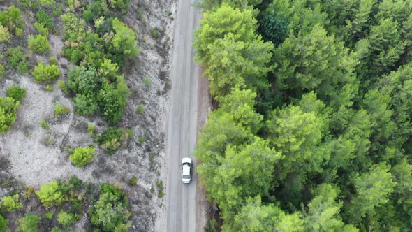 Car driving along the forest road. AERIAL: Car driving through pine forest. Drone shot from above alt