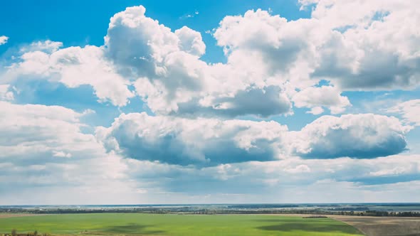 Countryside Rural Field Landscape With Young Wheat Sprouts In Spring Summer Cloudy Day alt