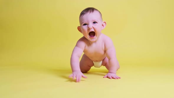Happy toddler baby plays laughing on studio yellow background. Funny child boy at the age of six mon