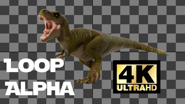 Dinosaur Tyrannosaurus Run And Roar Loop With Alpha