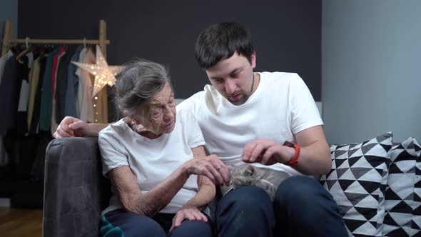 Senior Woman Tenderly Stroking Cute Gray Scottish Straight Kitten on Couch in Nursing Home with alt