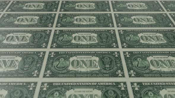Multiply Money One Dollar Backside Economy alt