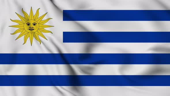 Uruguay flag seamless closeup waving animation