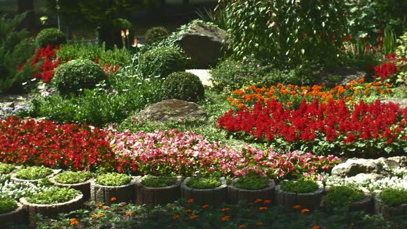 Beautiful Flower Bed of Different Flowers in the City Park