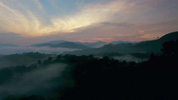 First light in Enchanted Tropical Rainforest Wide Aerial Drone Shot