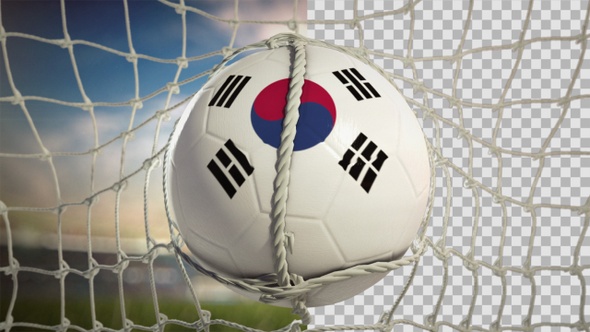 Soccer Ball Scoring Goal Day Frontal - Korea