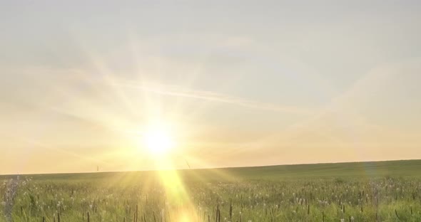 Hill Meadow Timelapse at the Summer or Autumn Time alt