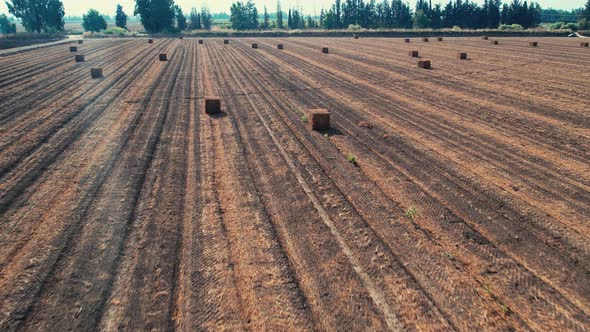 Hay Cubes Field Amazing Drone Shot 4k