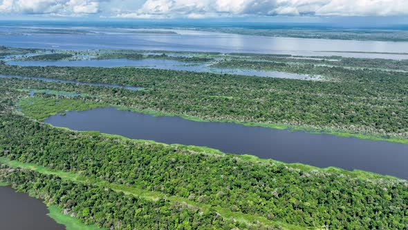 Stunning landscape of Amazon Forest at Amazonas State Brazil. alt