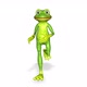 Frog Runs Looped White Background - VideoHive Item for Sale