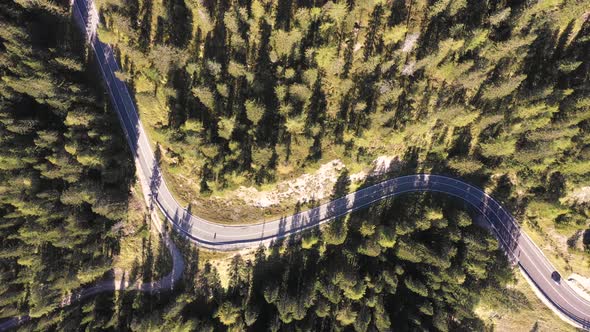Aerial top view of mountain road through the wood and car passing