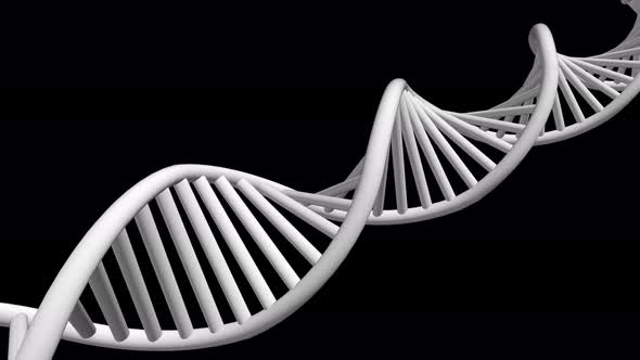 3D Rendered Loopable Animation Of Rotating Dna With Alpha Channel alt