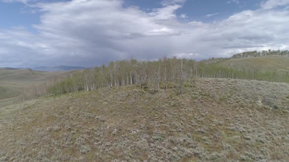 Flying over hill covered in sagebrush moving over aspen trees to view lake alt