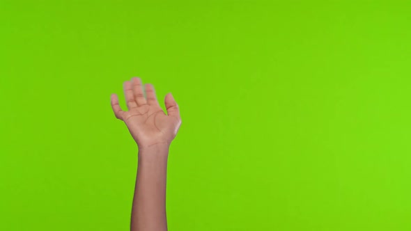 Woman Hand Raised Up Waving As Sign of Greeting or in Order to Be Noticed alt