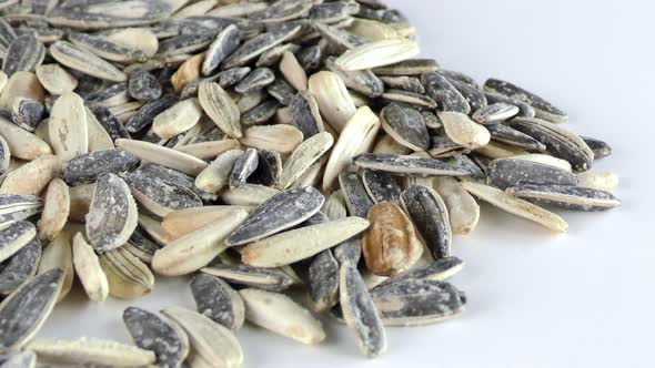 Sunflower Seeds 10