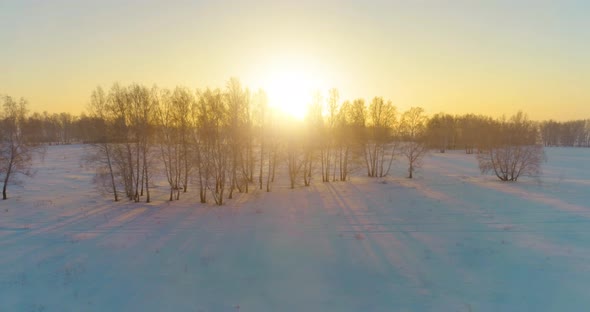 Aerial Drone View of Cold Winter Landscape with Arctic Field, Trees Covered with Frost Snow and alt