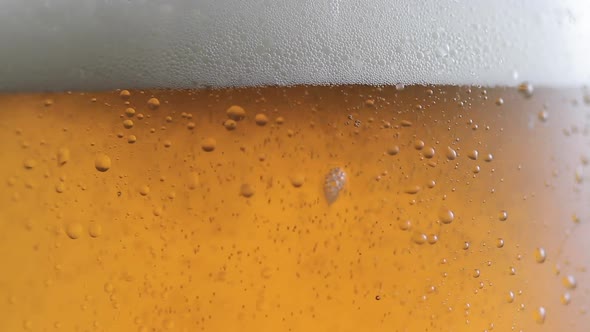 Macro Shot Of Fine Bubbles Rising In A Glass With beer.