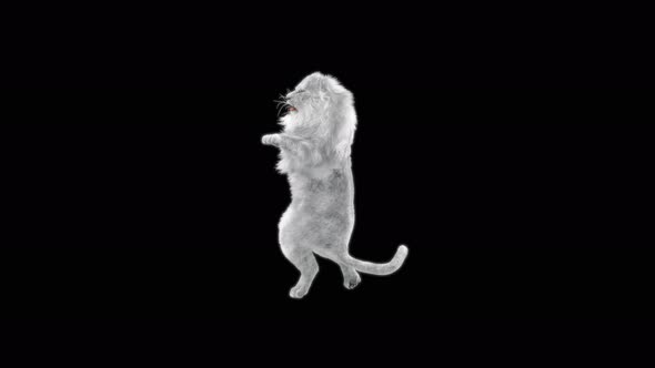 White Lion Dancing 4K alt