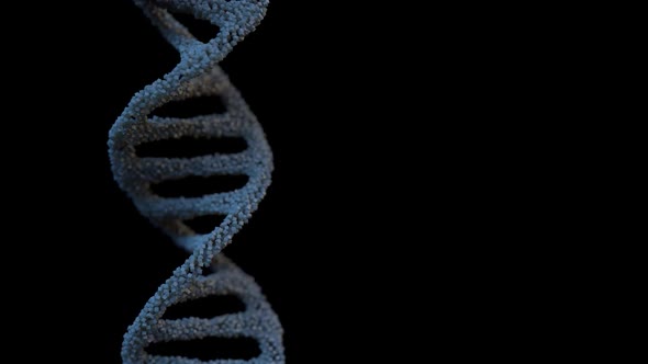 DNA Strand Damage Destruction  alt