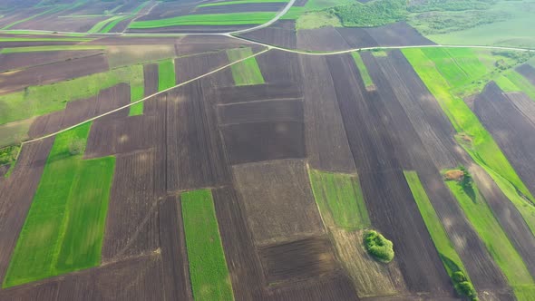 Spring fields top view. alt