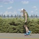 Female Making Moonwalk on Roller Blades in Park - VideoHive Item for Sale