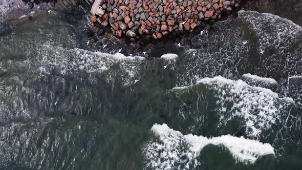 Drone view. seagulls flying over the rocky coast. storm. alt