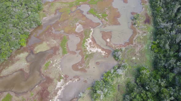 Aerial View of Drone Flying Over Wetlands