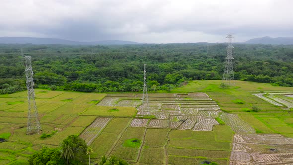 Electrical Transmission Line High-Voltage Tower in the Rice Field. alt