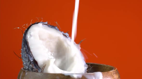 Cracked fresh coconut with splashing milk. Drops of coconuts oil over red background, dripping alt