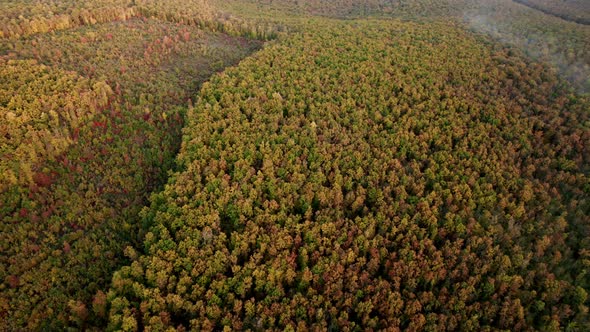 Aerial Drone View of Forest Destroyed in Europe Forest at Sunset During Autumn alt