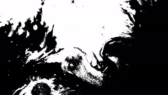 Bloom Ink. Beautiful White Watercolor Ink Drops Transition on Black Background. alt