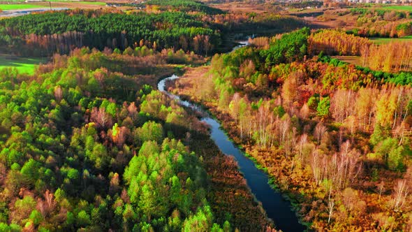 River and swamps in Poland. Aerial view wildlife in Poland alt