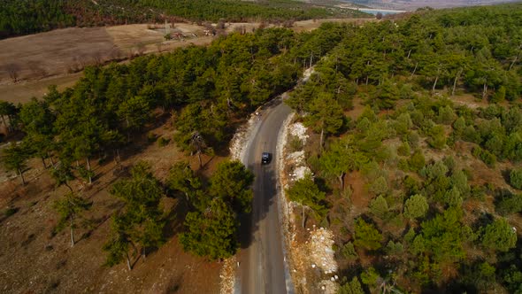 Aerial View Car On Road Forest alt