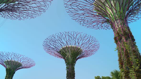 Supertree Grove In The Gardens By The Bay Singapore alt