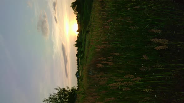 Camera on Tripod Shooting Sunrise in Summer Meadow