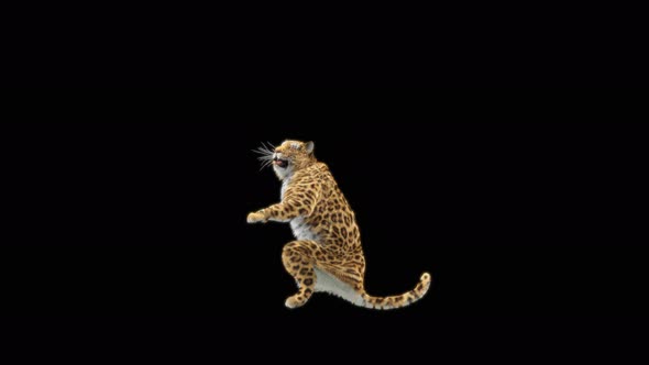 72 Leopard Standing Magic Attack 4K alt