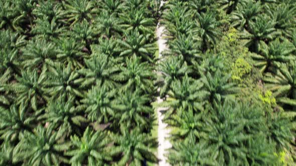 The Beaches at the most southern part of Borneo Island alt